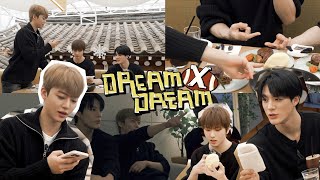 🐶🐰🐹트리플 제이의 일일 시즈니 체험💚 EP1  드림 바이 드림  DREAM x DREAM [upl. by Eira255]