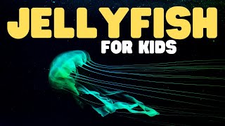 Jellyfish for Kids  Learn about the graceful invertebrates [upl. by Feodor955]