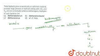 These bacteria grow anaerobically on cellulosic material produce large amount of methane [upl. by Lema]