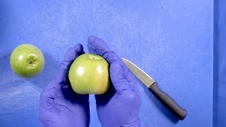 Peel Core and Slice Apples [upl. by Goulder]