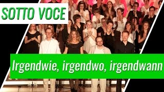 Nena  Irgendwie irgendwo irgendwann Cover [upl. by Kubis]