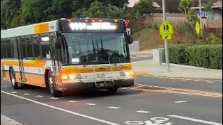 Bus 669 Route 444 Hoaeae West Loch Station [upl. by Aciretal]