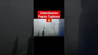 Typhoon Landfall in Catanduanes Pepito Typhoon prayforluzon typhoon philippines [upl. by Wichman]