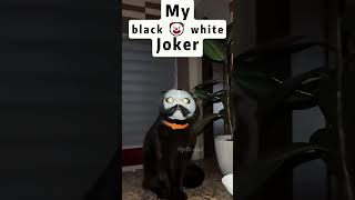 The end 🤣 shortvideo funnypetschannel funny cat catvideos pets petschannel funnypetclub [upl. by Iolanthe213]