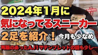 【スニーカー】2024年1月に気になってるスニーカーの紹介！ [upl. by Sawyor]