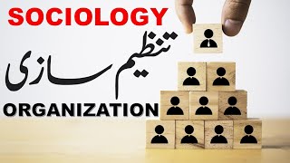 SOCIALIZATIONTHE TERMSOCIOLOGYFACTOR AFFECTING SOCIALIZATIONIUB LLB [upl. by Menashem530]