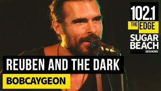 Reuben and the Dark  Bobcaygeon Live at the Edge [upl. by Grubb939]