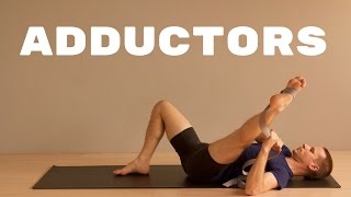 Hip Adductor Groin Stretch  Active Isolated Stretching [upl. by Aikenahs834]