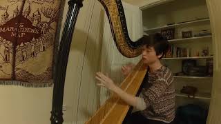 quotAgnesquot by Glass Animals on harp [upl. by Kilar]