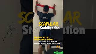 Why scapular stabilization is important in shoulder rehabilitation shoulderpain pain [upl. by Dulce579]