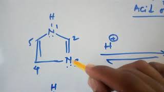 Imidazole acidic or basic [upl. by Eceeryt]