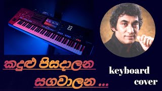 කදුළු පිසදාලන සගවාලන  kadulu pisadalana sagawalana song keyboard cover ❤️🥀 [upl. by Dafna]