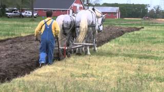 PLOWING WITH HORSES [upl. by Lepine]