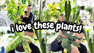 NEW plant growth 🌱 amp NEW camera 🎥  watering moss poles updates  philodendron monstera hoya [upl. by Harland]