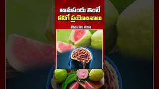 జామపండు తింటే కలిగే ప్రయోజనాలు  Benefits Of Eating Guava  Mana Inti Vanta [upl. by Wetzell]