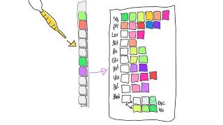 urinalysis [upl. by Macegan]