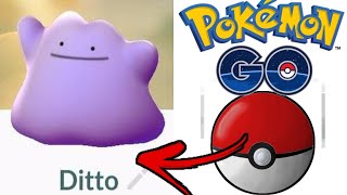 Como Pegar Ditto no Pokémon GO [upl. by Gokey]