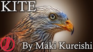 Kite By Maki Kureishi  Paraphrase  Themes  Symbolism  1st Female English Poetess of Pakistan [upl. by Coombs]