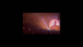 Epic NYC Adventure David Gilmour Live in Concert 🎸✨ [upl. by Calendra]