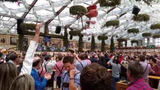 Oktoberfest at The Hofbrau tent [upl. by March]