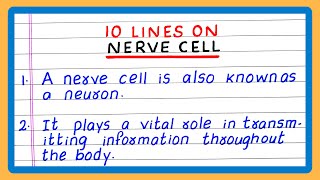 FEW LINES ON NERVE CELL  NEURON  5  FIVE  10 LINES ON NERVE CELL  NEURON [upl. by Diley281]