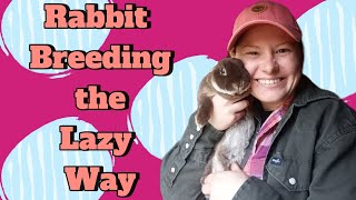 Our Low Maintenance Way of Breeding Rabbits [upl. by Nylak]