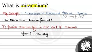 What is miracidium [upl. by Pippas864]