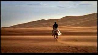 Arabian Horse Association Commercial [upl. by Aniez180]