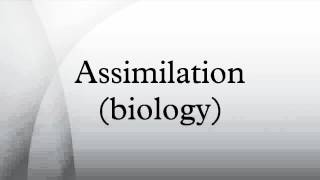 Assimilation biology [upl. by Tsai]