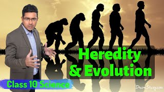 Heredity and Evolution  CBSE Class 10 Science Biology  Toppr Study [upl. by Aytak57]