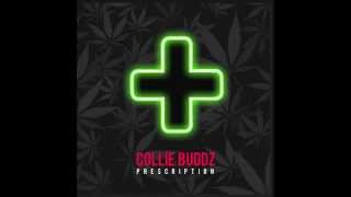 Collie Buddz – quotPrescriptionquot Official Audio [upl. by Noraa]