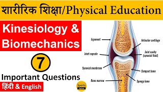 Kinesiology amp Biomechanics Part7 Physical Education MCQs [upl. by Neema]