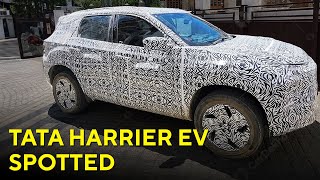 Tata Harrier EV AWD Spotted Testing  ANX [upl. by Batista762]