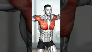 Viral videosortvideomotivationshoulderchestexercises🏋️🏋️💯💯💯💯💯💯🖕🖕 [upl. by Galina]