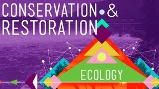 Conservation and Restoration Ecology Crash Course Ecology 12 [upl. by Solram211]