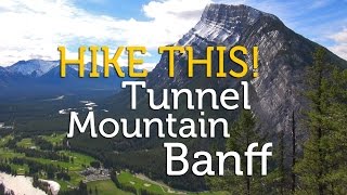 Hike This Tunnel Mountain in Banff Alberta Canada [upl. by Jayson]