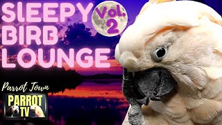 Sleepy Birb Lounge Vol 2  Calm Piano Music for Birds  Parrot Music TV for Your Bird Room🎶 [upl. by Eustatius]