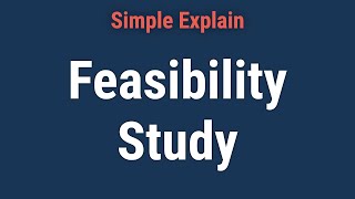 How Does a Feasibility Study Work [upl. by Brentt]