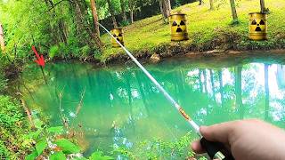 I Caught A MUTANT Fish in This Urban Alabama Creek  Cahaba Bass [upl. by Hsetirp974]