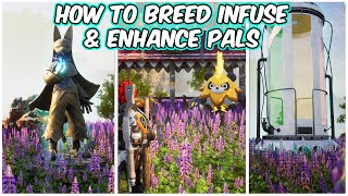 How To Breed Combine And Infuse Pals In Palworld [upl. by Nosyla]