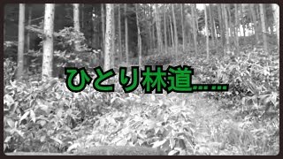 ジムニー 1人で山に行くと・・・ こうなる！！ I fell into the ditch alone [upl. by Alethia]