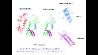 Part 16 Theoretische Biophysik 6 [upl. by Rodmann]