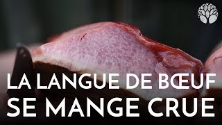 La langue de bœuf un champignon qui se mange cru [upl. by Coletta]