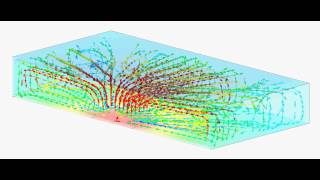 CFD IsoSkin Thin Flat Heat Pipe [upl. by Yejus]