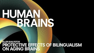 CONVERSATION 3  Ellen Bialystok  Protective Effects of Bilingualism on Aging Brains [upl. by Chip]