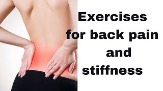 Exercises for back pain and stiffness in the morning [upl. by Ardek]