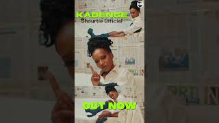 Shourtie Official  Kadenge Out Now [upl. by Ahsienauq]