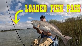 🔥🔥 FISH PASS FLOODED WITH FISH 🔥🔥 Such A Fun Trip KEITH LAKE Sabine Pass Fishing gulfcoast [upl. by Iruahs]