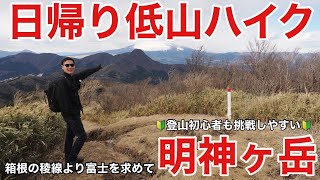 【日帰り低山】金時山越しの富士山見たくて初心者に人気な明神ヶ岳へウキウキ登ってみたら悲しみの事態に…富士スポット巡り第5弾 [upl. by Ayoted]