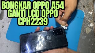 Tutorial Ganti lcd oppo A54 CPH2239  cara ganti lcd touchscreen oppo a54 [upl. by Trumaine20]